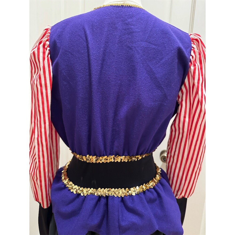 Rare Unique Vintage Childcraft Court Jester Harlequin Costume Dress Womens Small - Picture 11 of 14